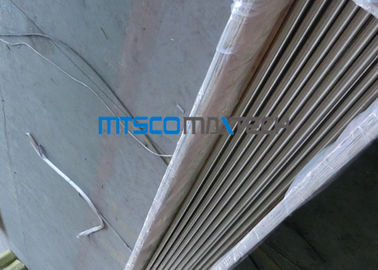 1 / 4 Inch Sch10s TP316 / 316L Bright Annealed Tube , Seamless Boiler Steel Pipe